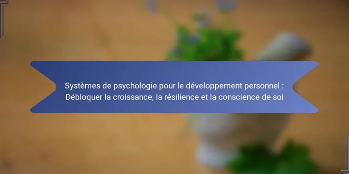 Systèmes de psychologie pour le développement personnel : Débloquer la croissance, la résilience et la conscience de soi