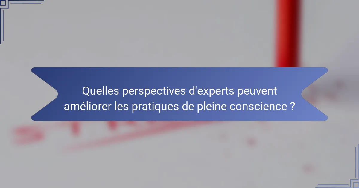 Quelles perspectives d'experts peuvent améliorer les pratiques de pleine conscience ?
