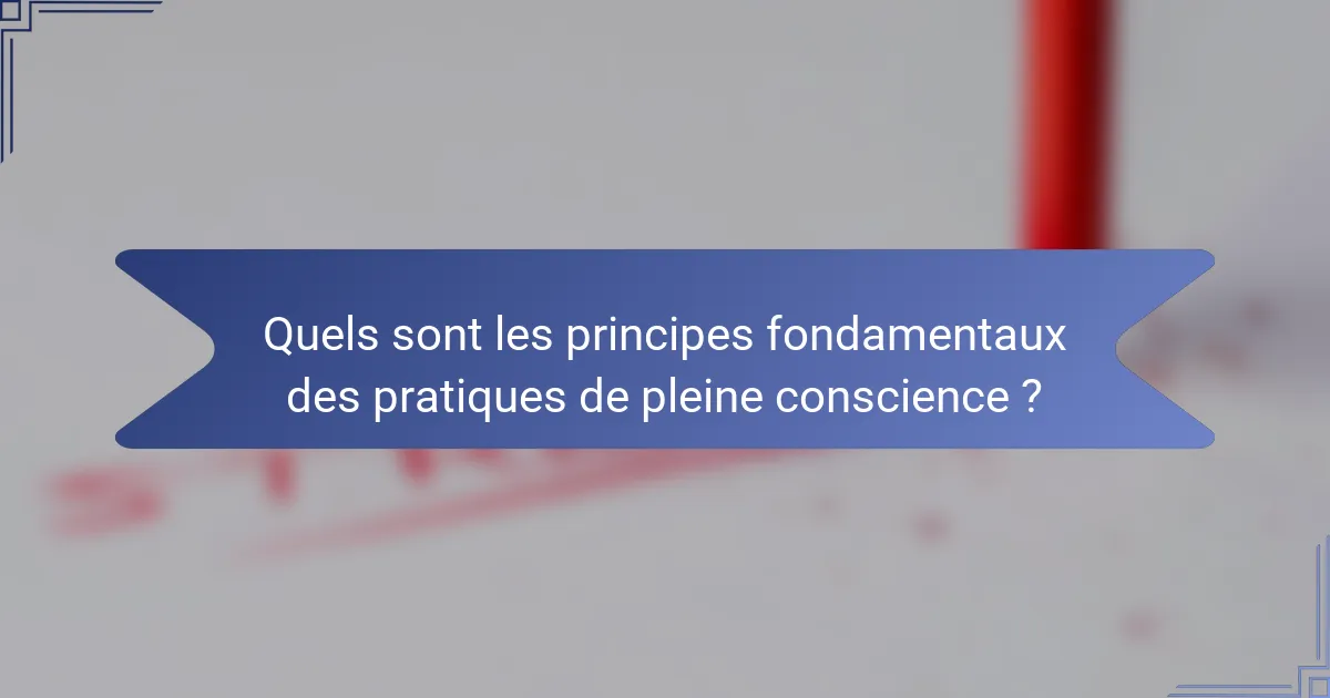 Quels sont les principes fondamentaux des pratiques de pleine conscience ?